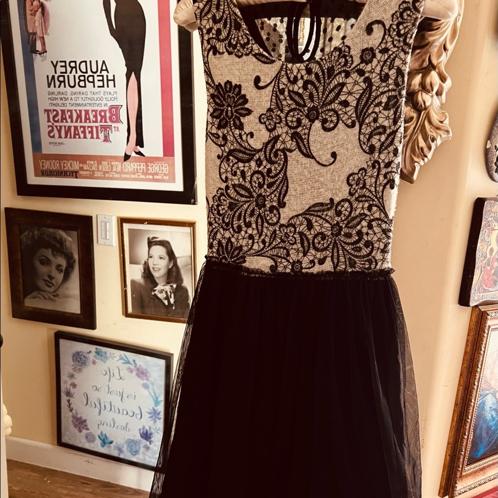 Anthropologie vintage floral lace and clack chiffon overlay dress